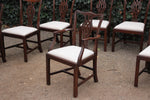 Antieke Set van 8 Eetkamerstoelen - 0252.D
